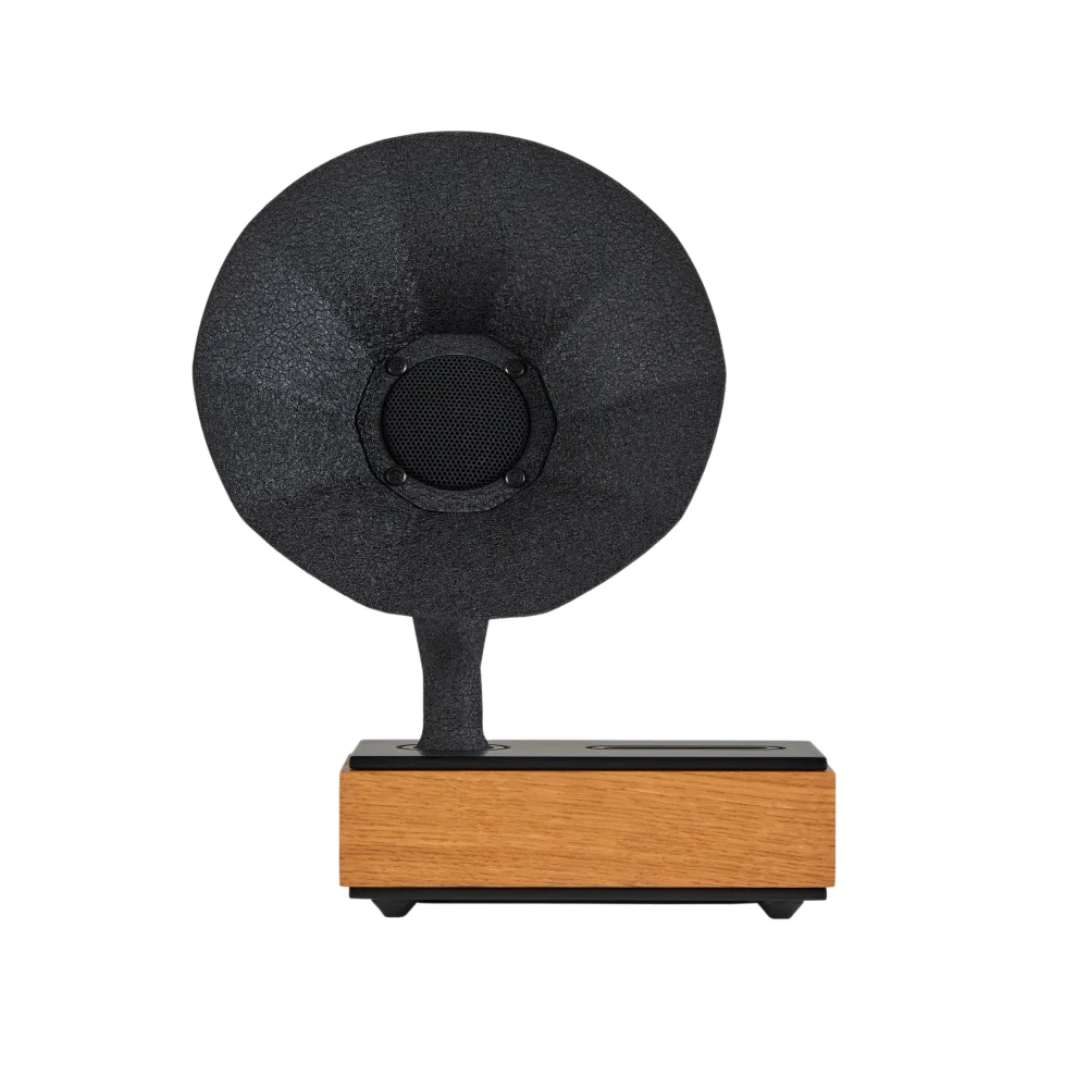 Acoustibox - Natural Collection Oak Speaker