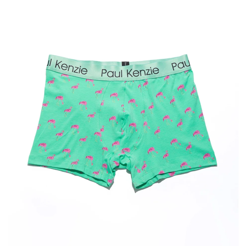 Paul Kenzie - Desenli Erkek Boxer - Couple Collection Pink Birdy