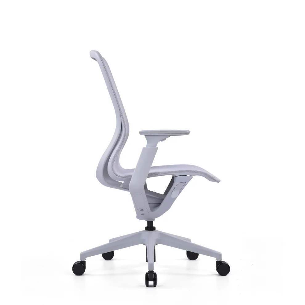 Rapido - Aria Study Chair