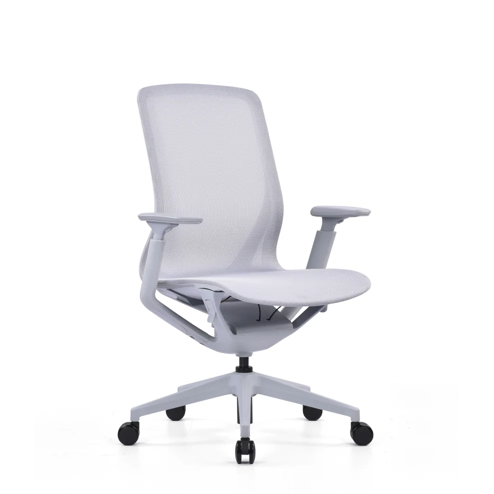 Rapido - Aria Study Chair