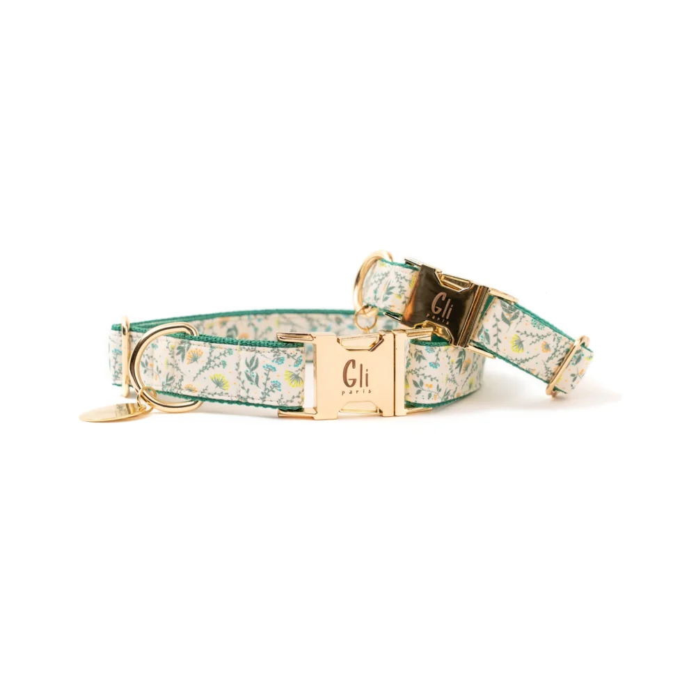 Gliparis - Lugo Dog Collar