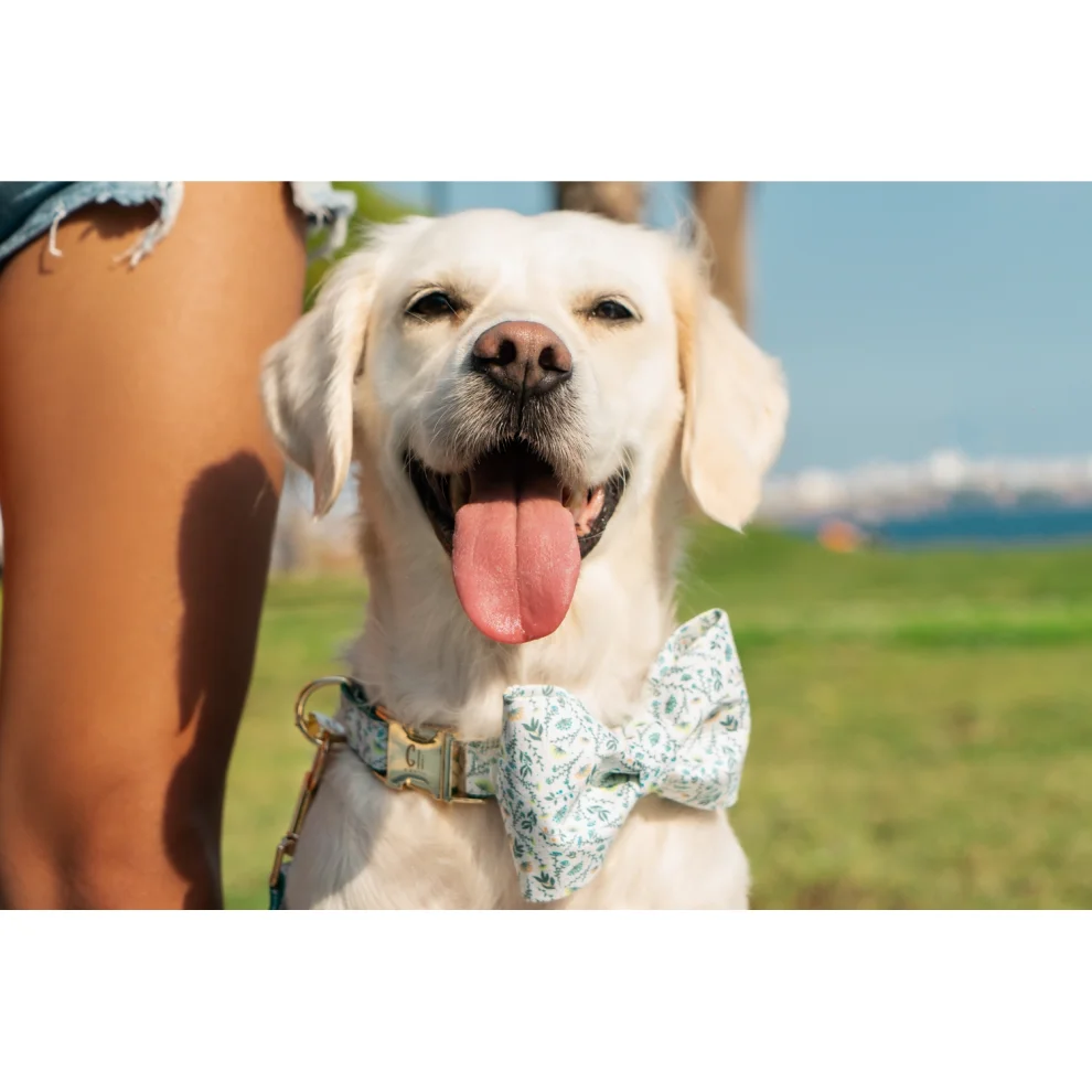 Gliparis - Lugo Dog Collar
