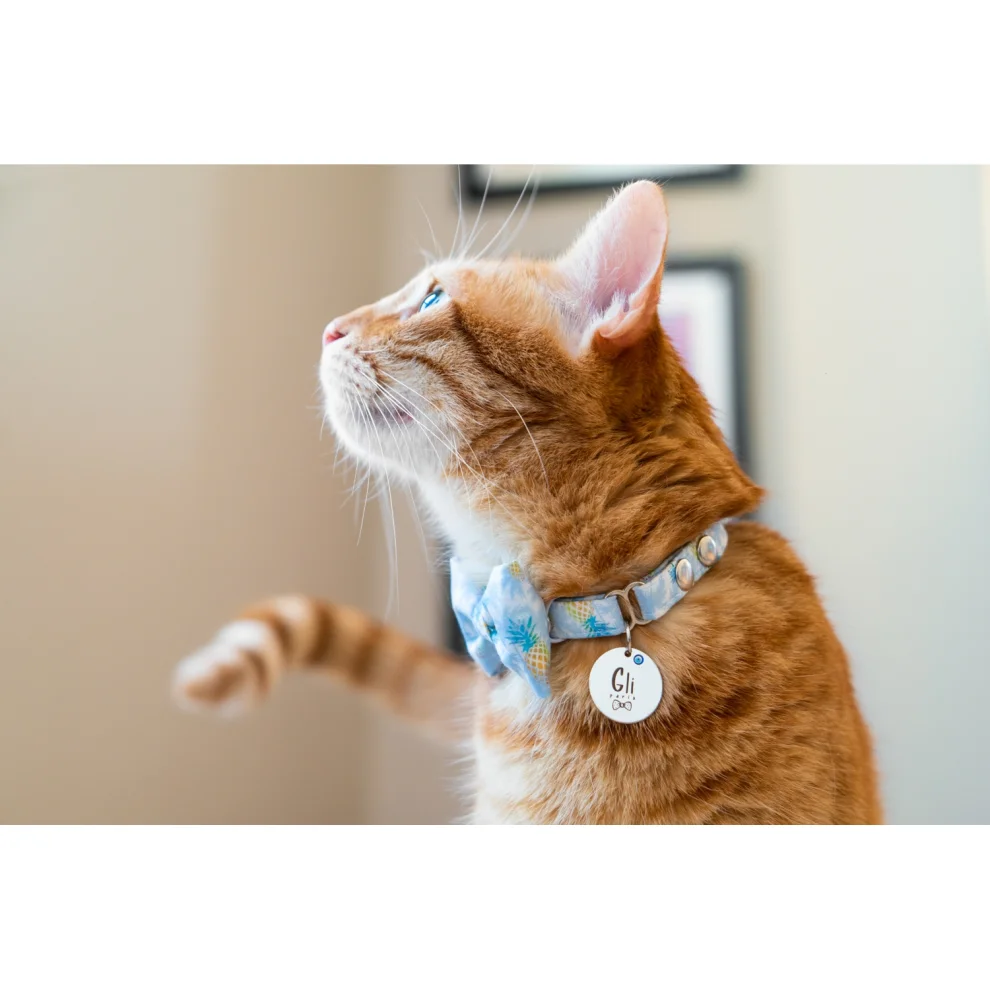 Gliparis - Lugo Cat Collar