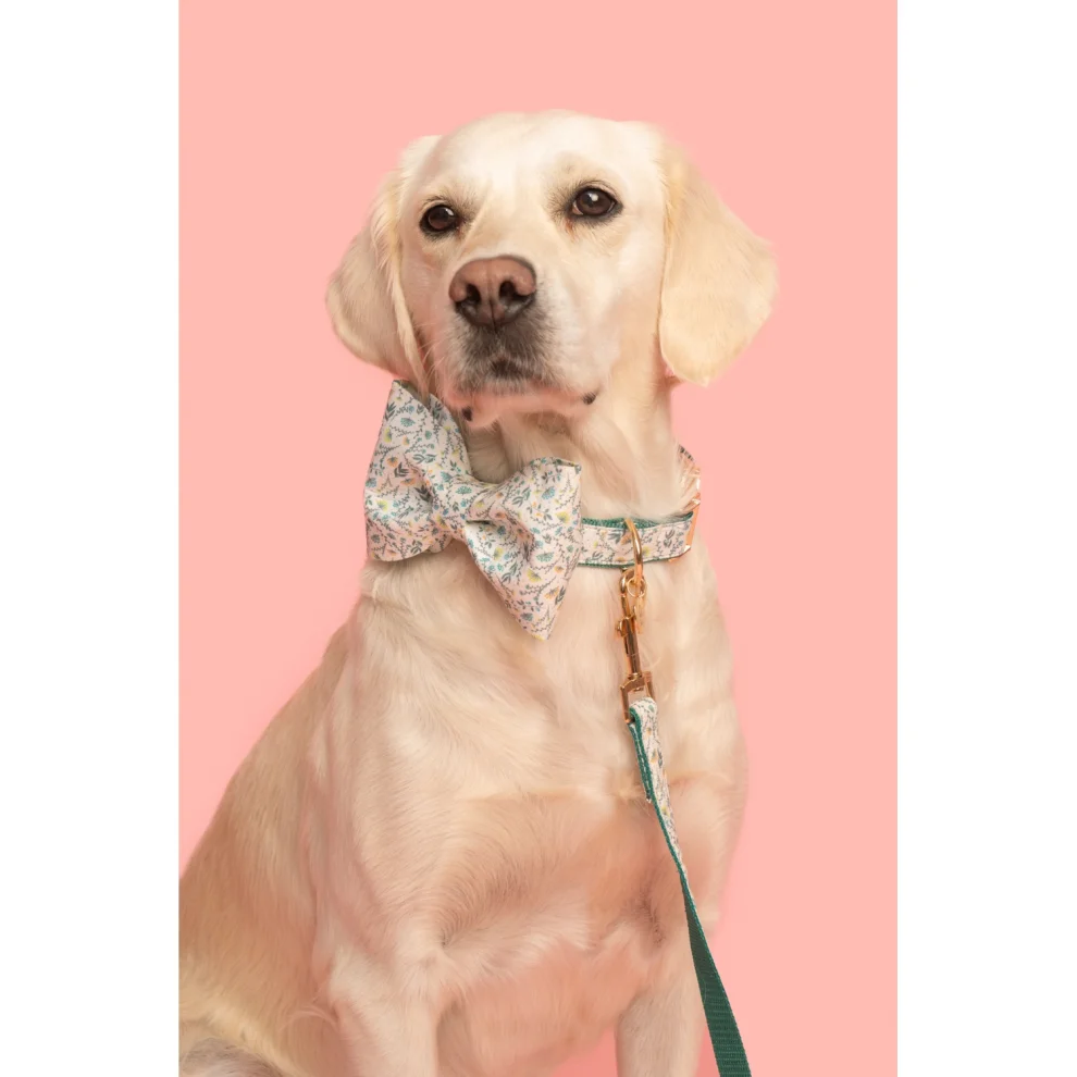 Gliparis - Lugo Bow Tie Dog Collar