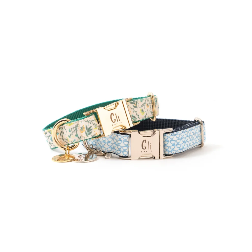 Dolce and outlet gabbana dog collar