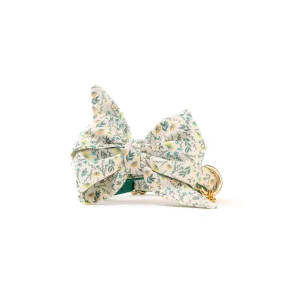 Lugo Perra  Bow Dog Collar