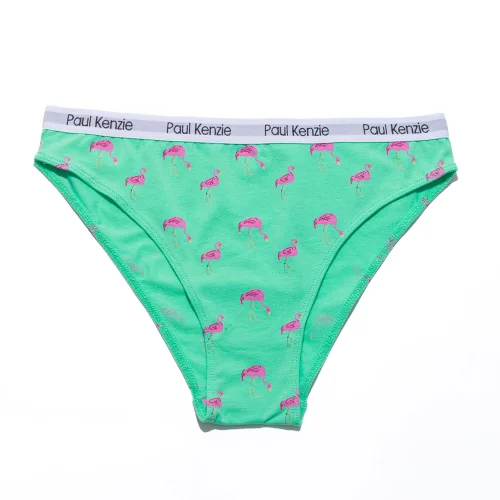 Paul Kenzie - Desenli Kadın Slip Külot - Couple Collection Pink Birdy
