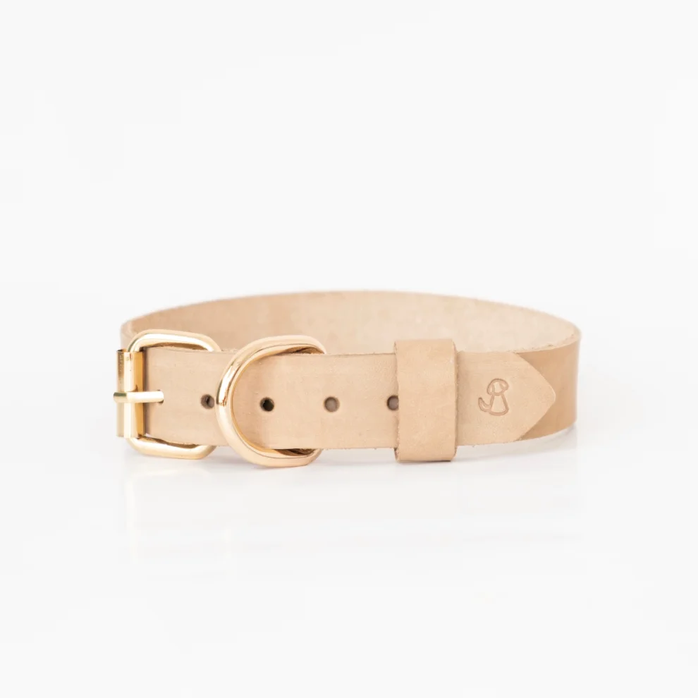 Pups & Itchy - Perfecto Dog Collar L Beige | hipicon