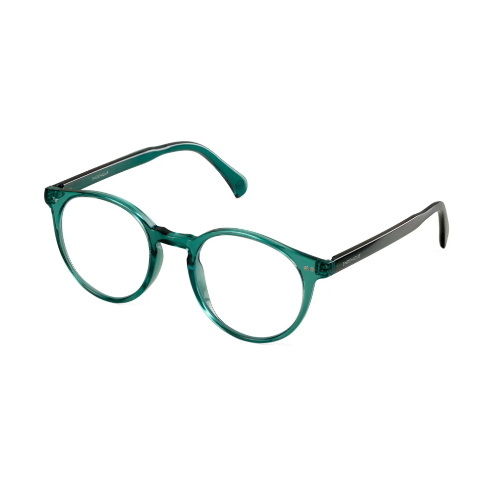 Endemique Studio - No 10 Anti-blue Green Screen Glasses