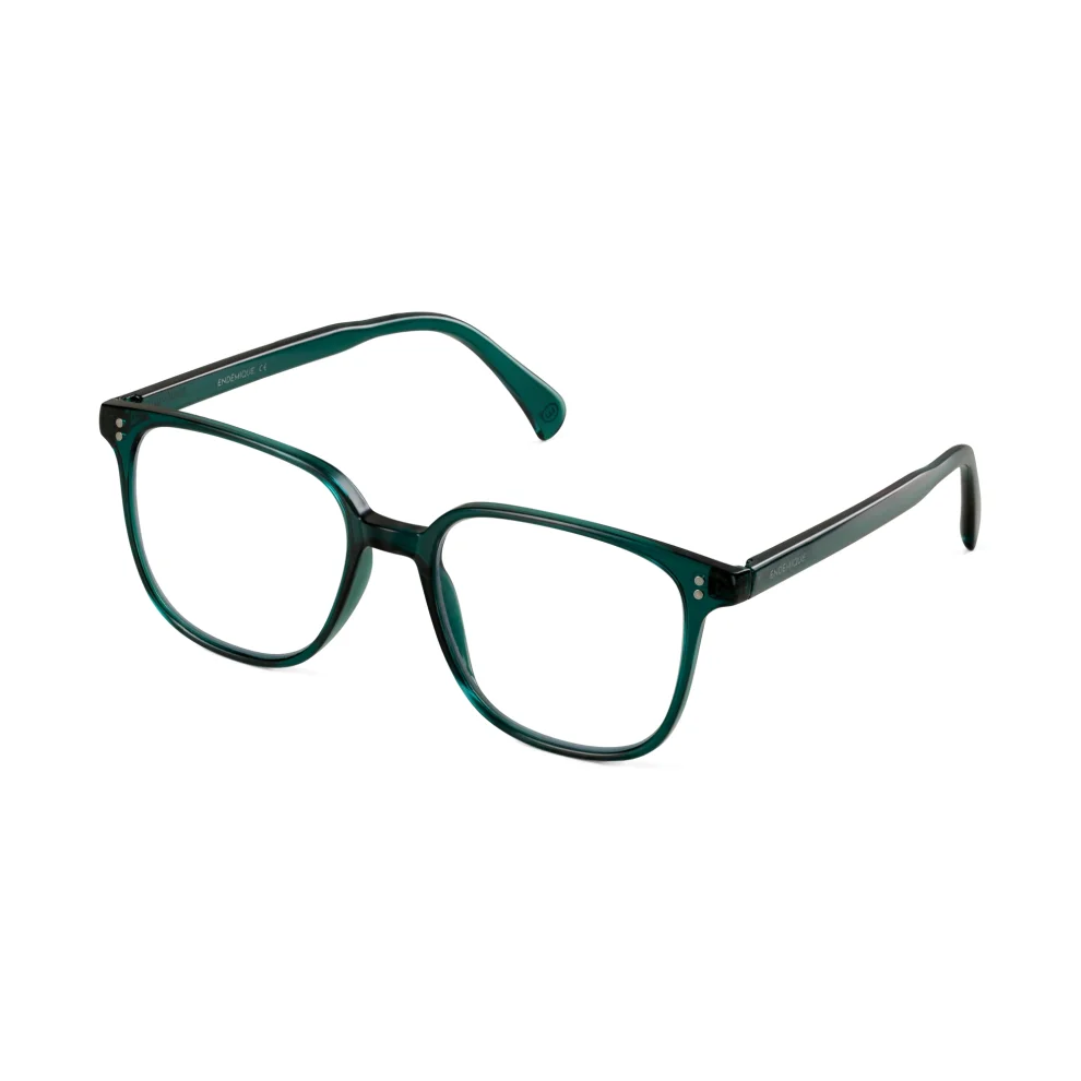 Endemique Studio - No 40 Anti-blue Green Screen Glasses