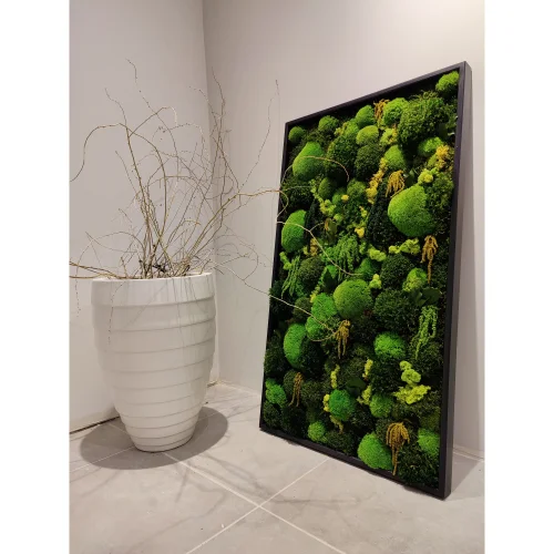 Fiplantart Works - Amazon Moss Frame