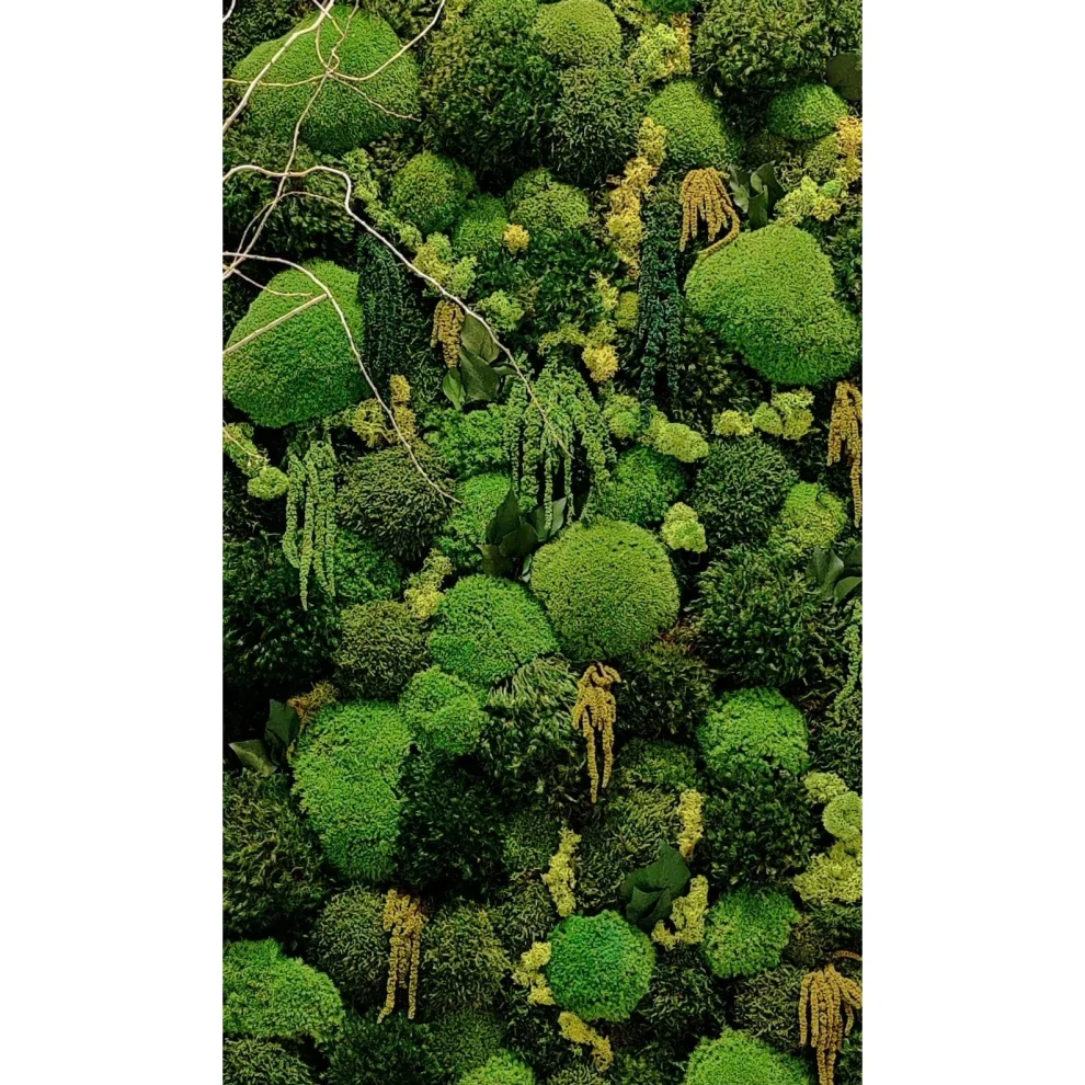 Fiplantart Works - Amazon Moss Frame