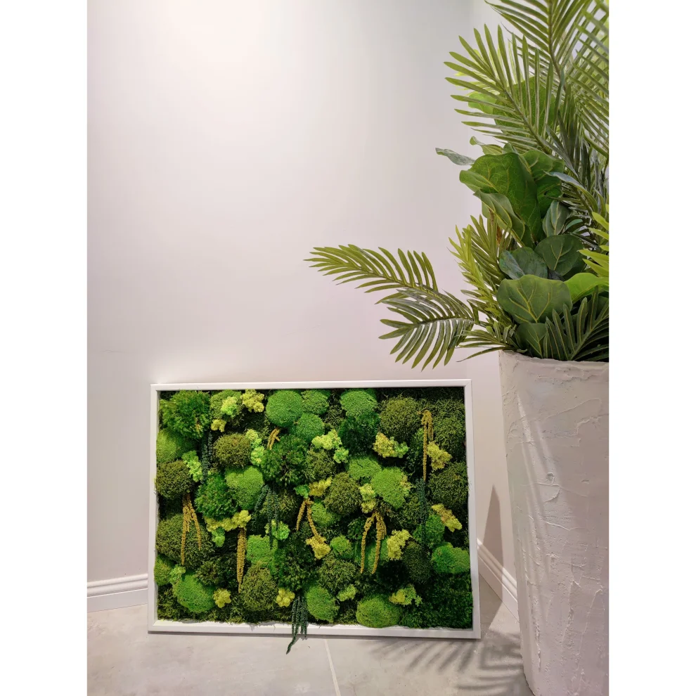 Fiplantart Works - Amazon Moss Frame