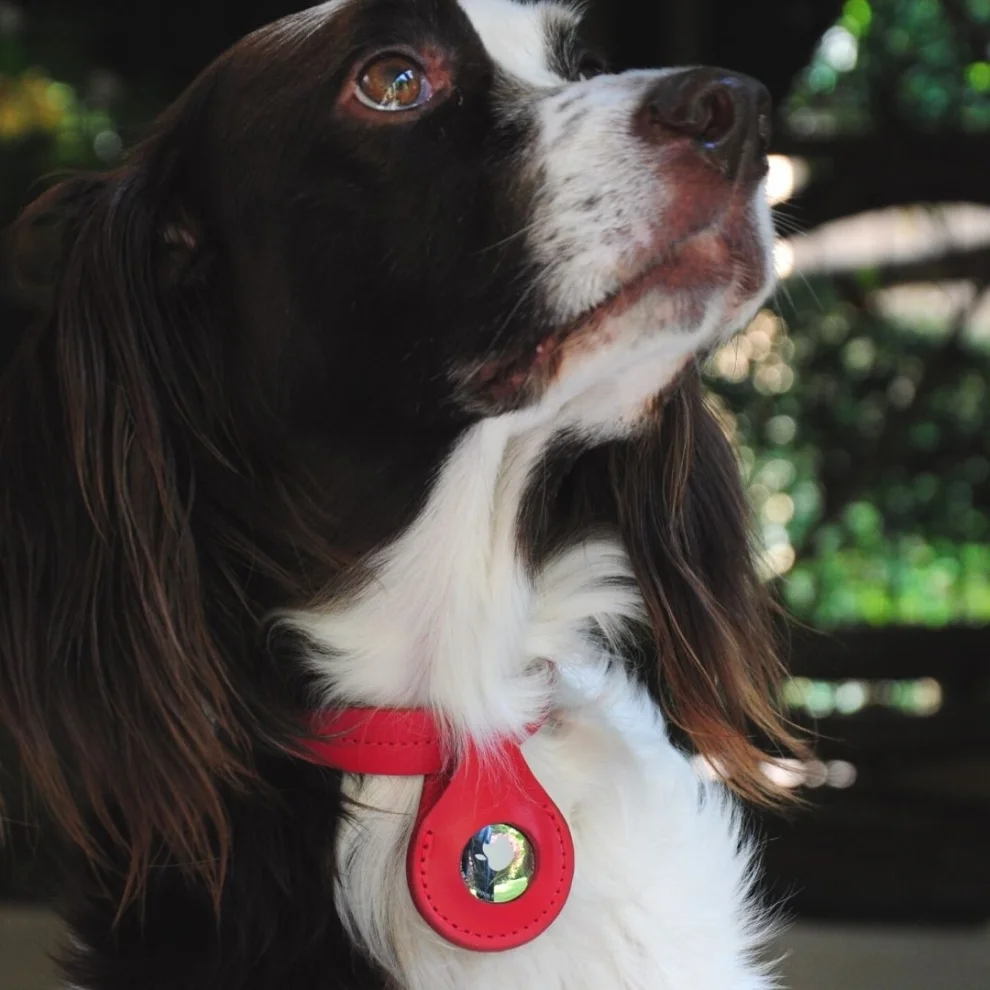 Zoe Pet Atelier - Deri Köpek Boyun Tasması