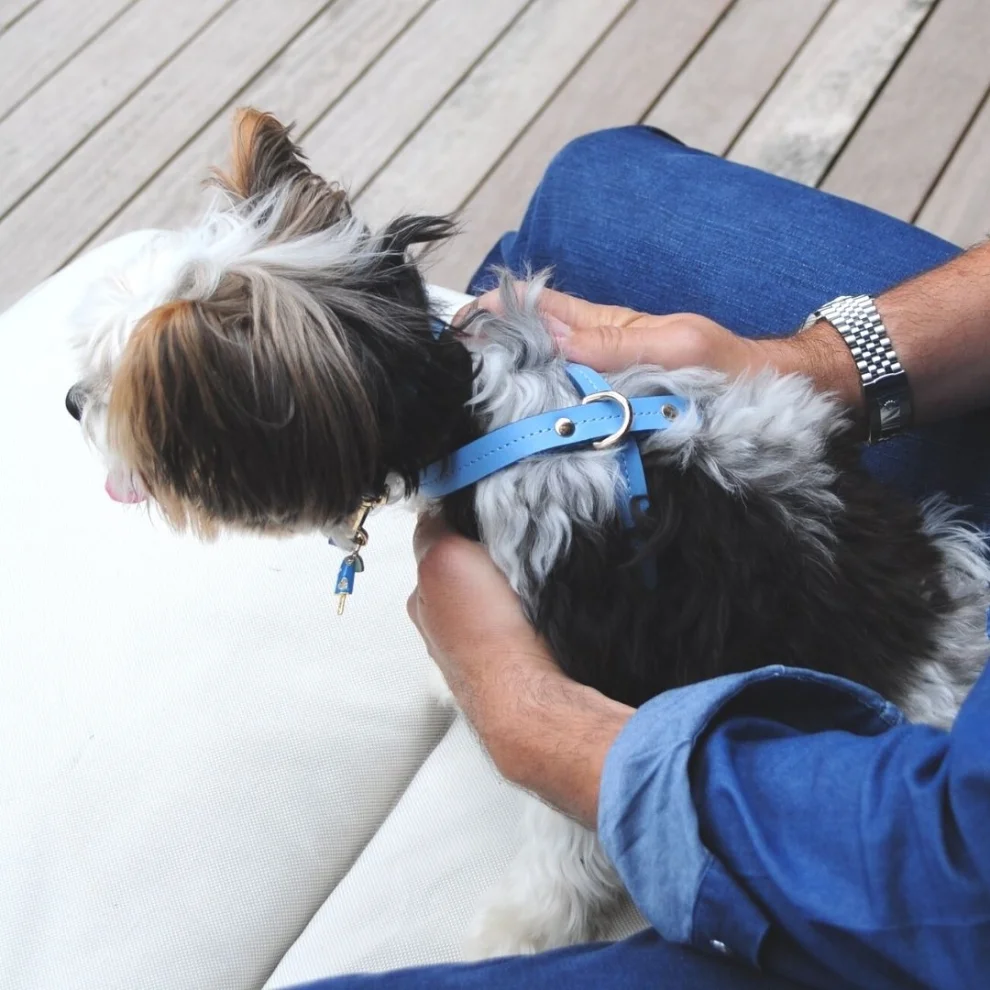 Zoe Pet Atelier - Leather Dog Harness - Il