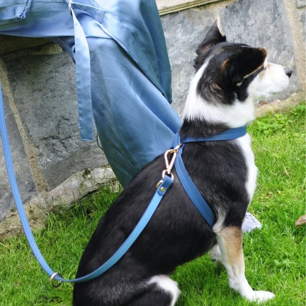 Zoe Pet Atelier Leather Dog Harness Navy Blue XXS Hipicon