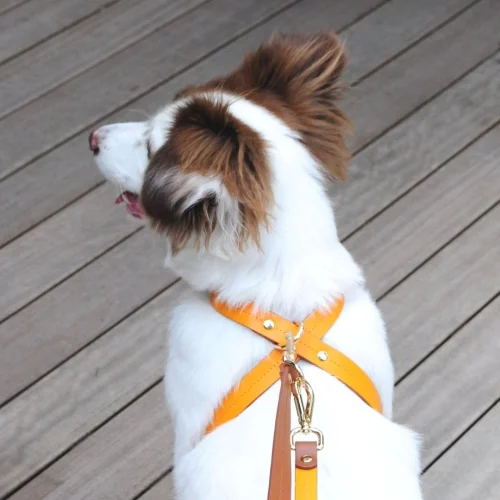 Zoe Pet Atelier - Leather Dog Harness