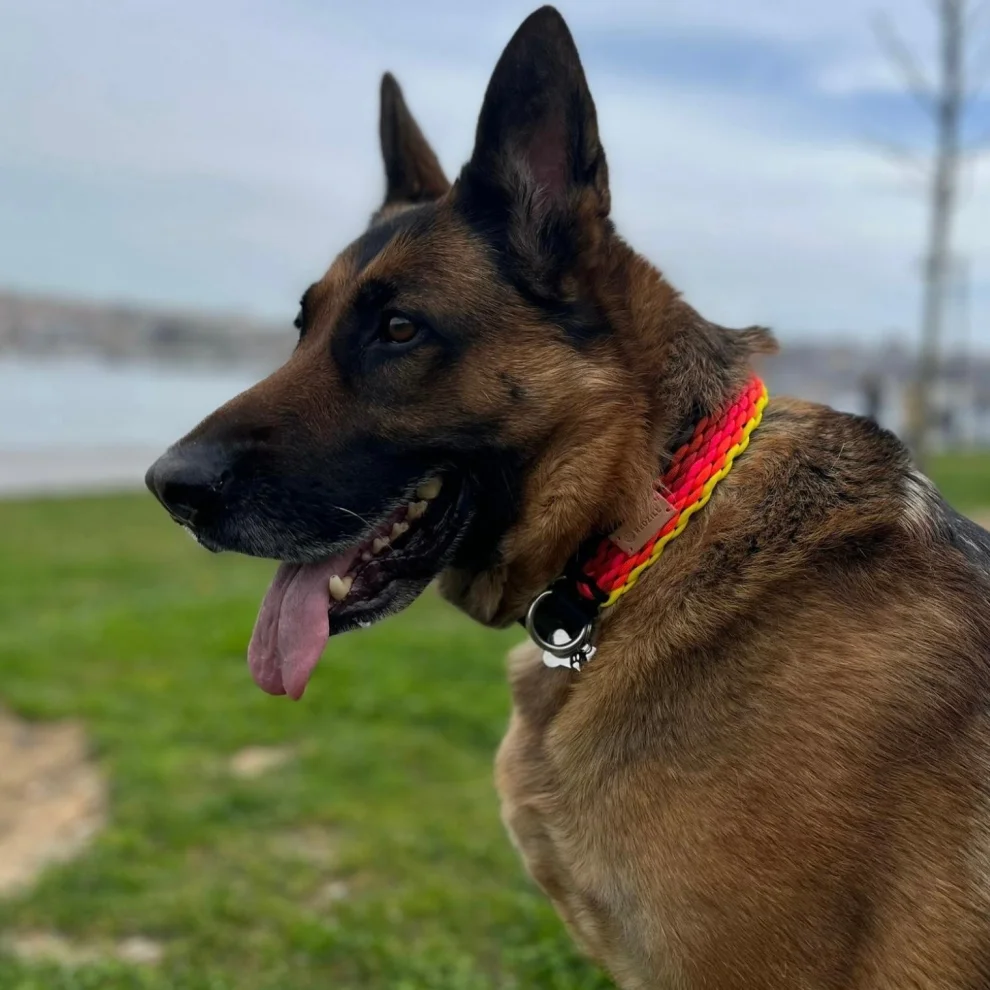 Redzill - Bavaria Paracord Dog Collar