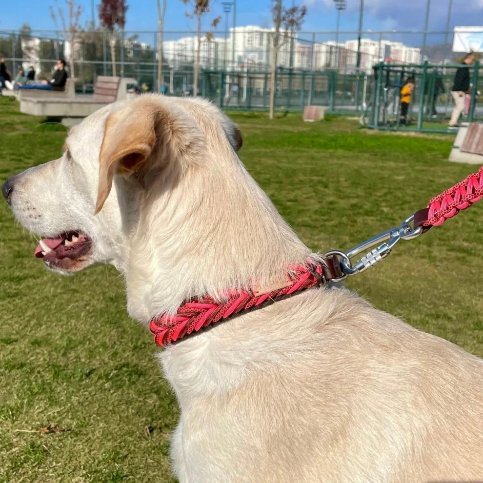 Redzill - Fire Paracord Dog Collar