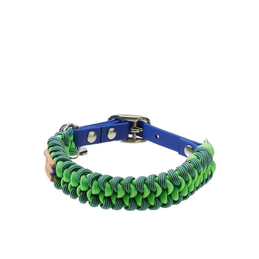 Redzill - Neon Spiral Paracord Dog Collar