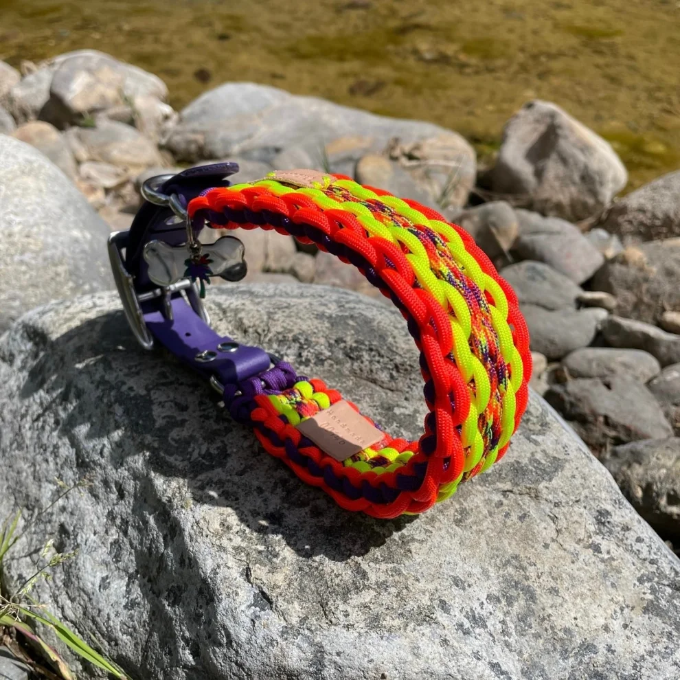 Redzill - Phoenix Paracord Dog Collar