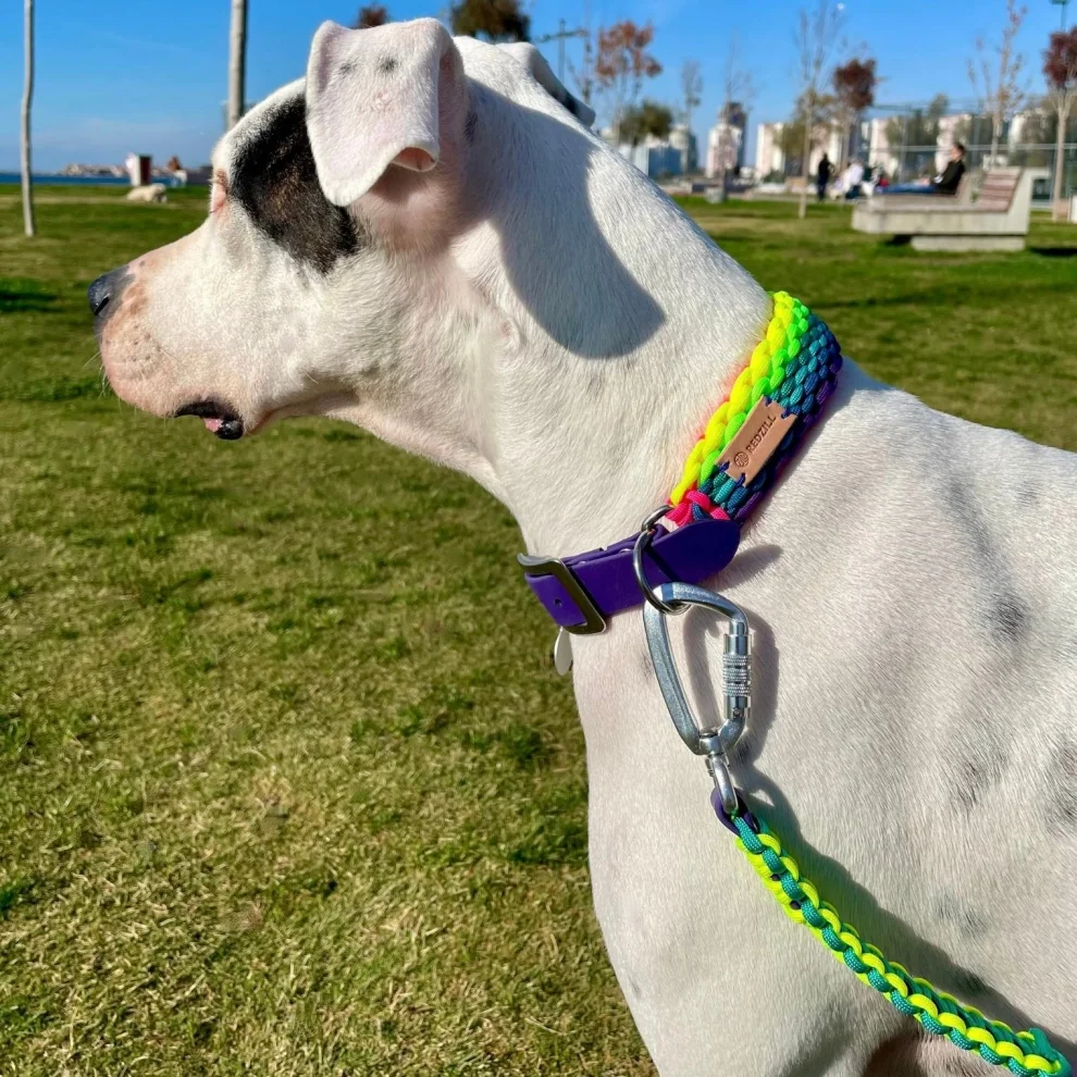 Redzill - Rainbow Paracord Dog Collar