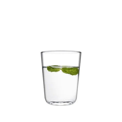 Well Studio Store - Glass 6-piece Water Glass