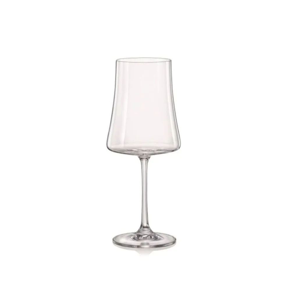 Well Studio Store - Crystal 6-piece Wine Glass