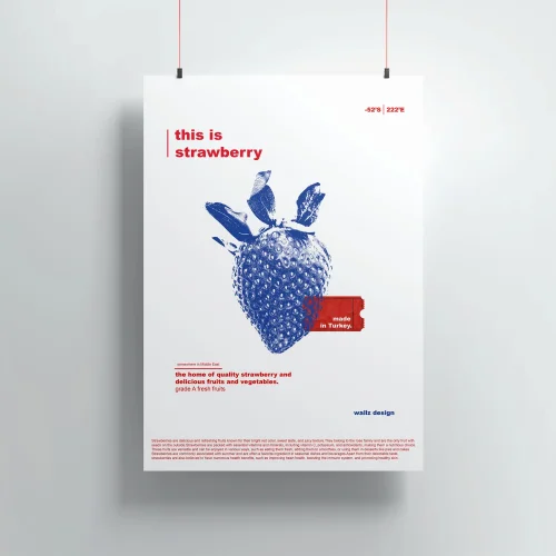 Wallz Design - Blue Strawberry Print