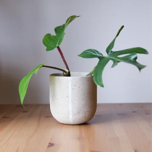 Plant in da House - Stoneware Seramik Saksı-42