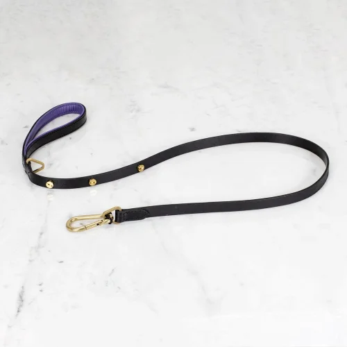 Buster + Punch - Dog Brass Lead Leash