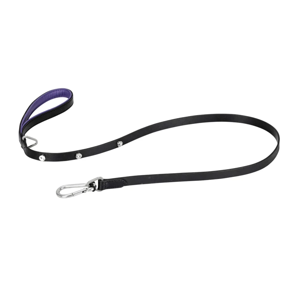 Buster + Punch - Dog Brass Lead Leash