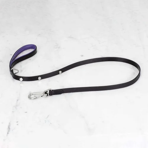 Buster + Punch - Dog Steel Lead Leash