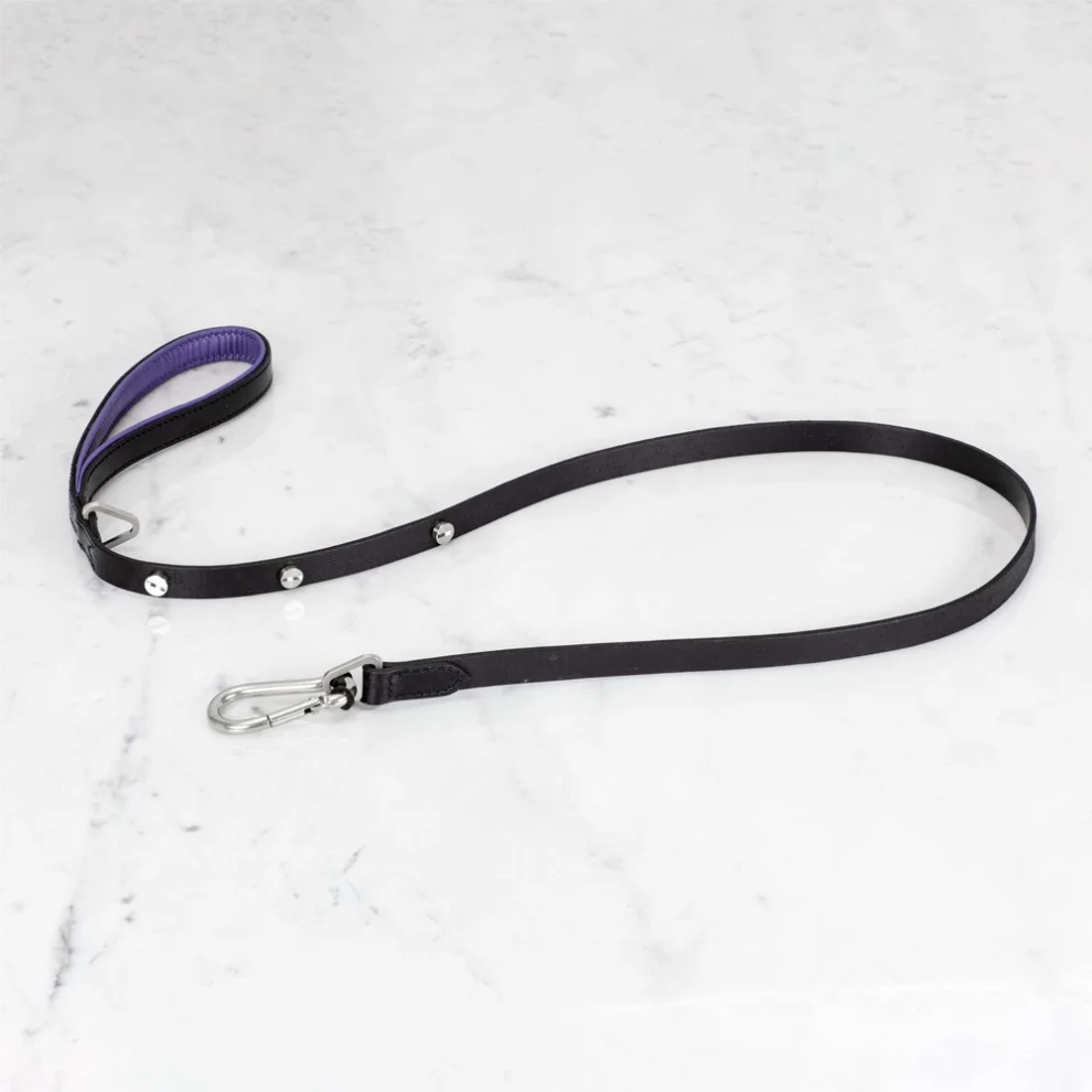 Buster + Punch - Dog Brass Lead Leash