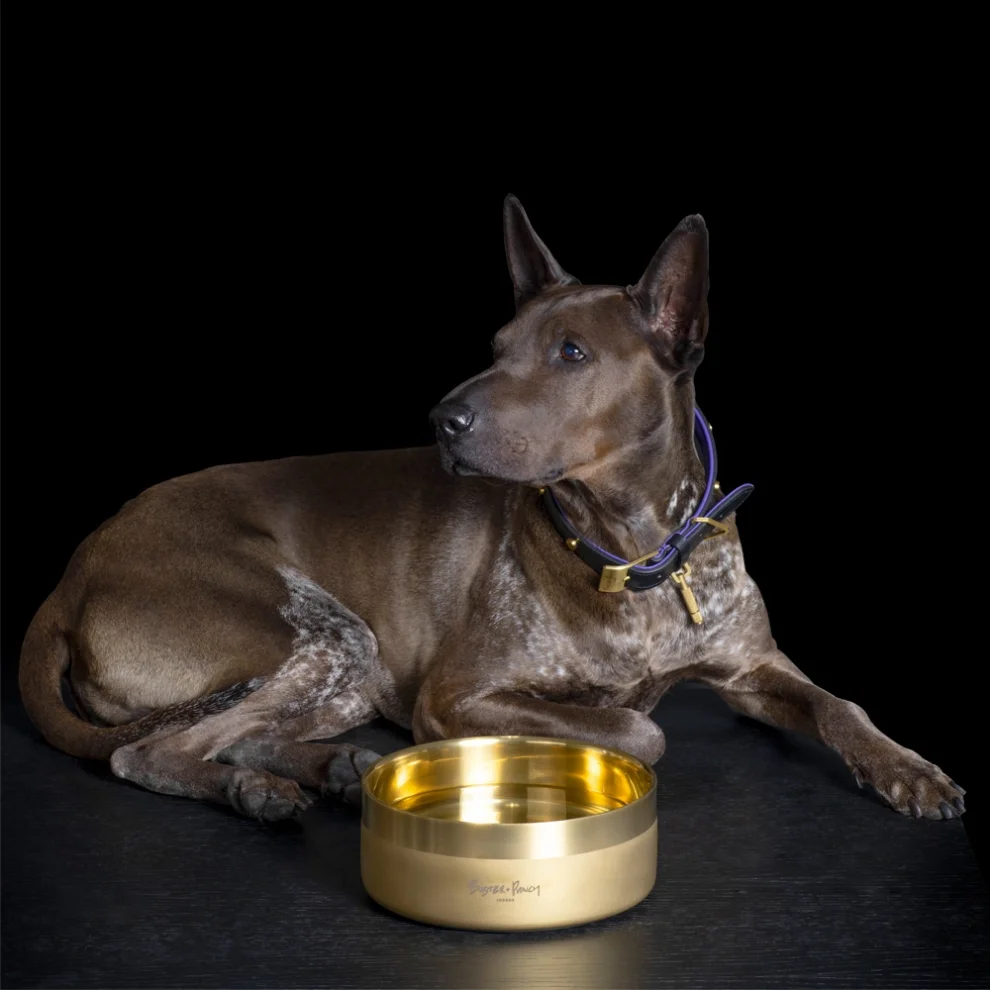 Buster + Punch - Dog Bowl Brass