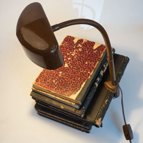 Gınni Dudu - Art Deco Study Desk Lamp