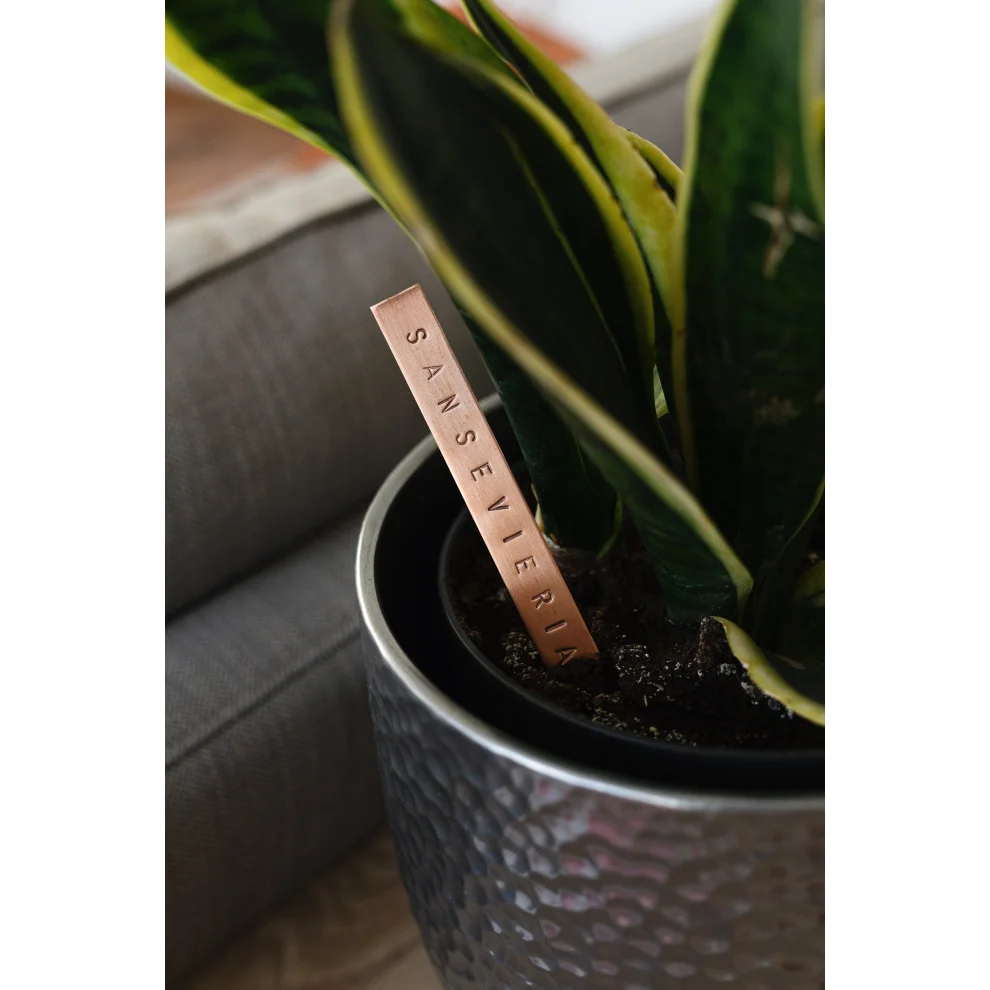 CC Copper Design - Veridis - Plant Tag