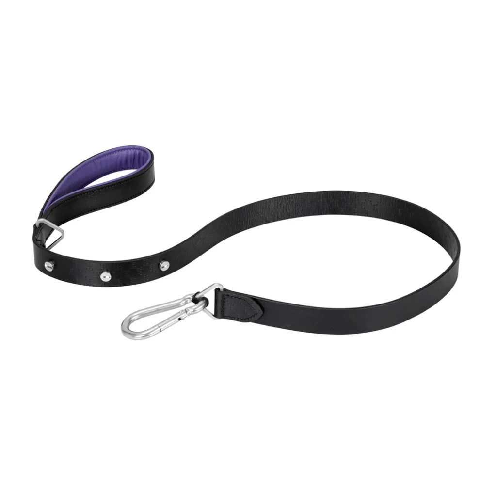 Buster + Punch - Dog Brass Lead Leash