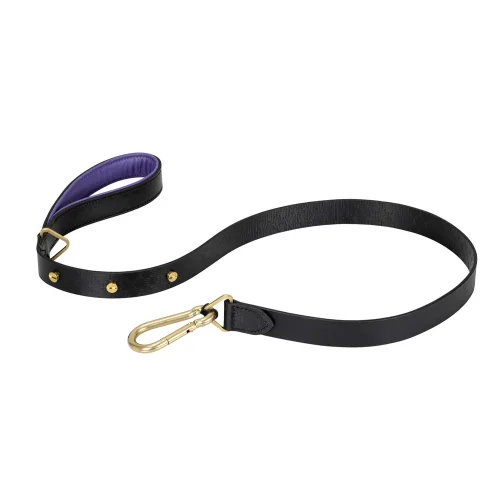 Buster + Punch - Dog Brass Lead Leash