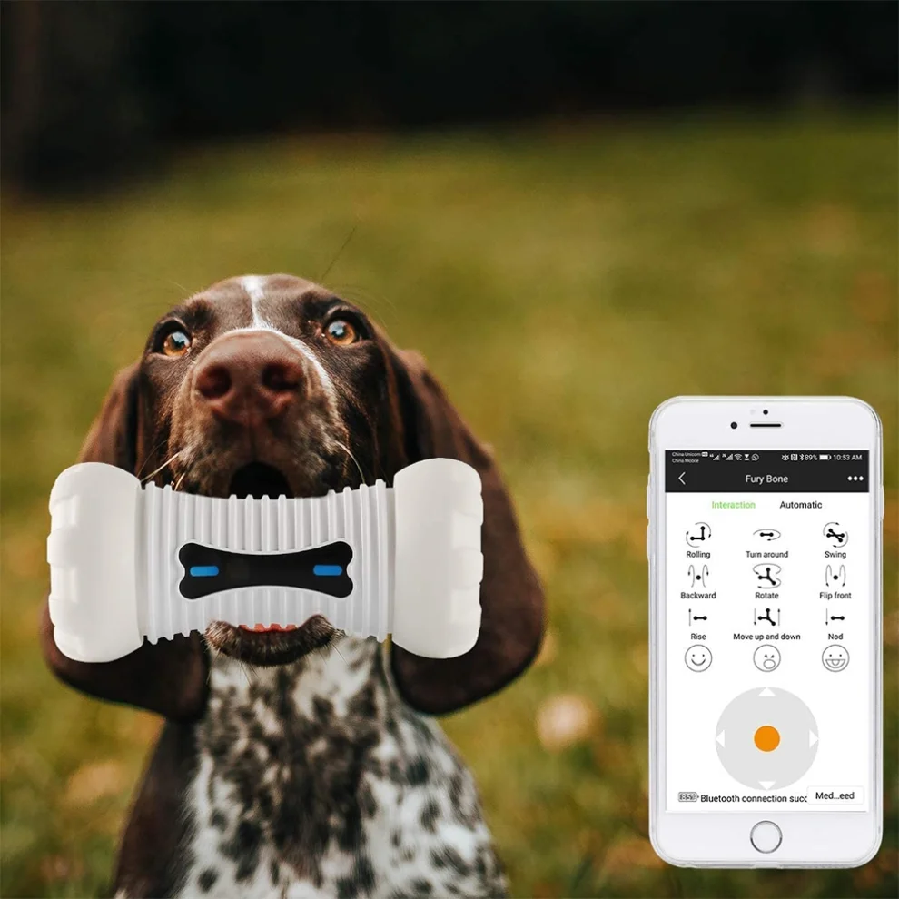 Skymee - Fury Bone Interactive Toy For Pets