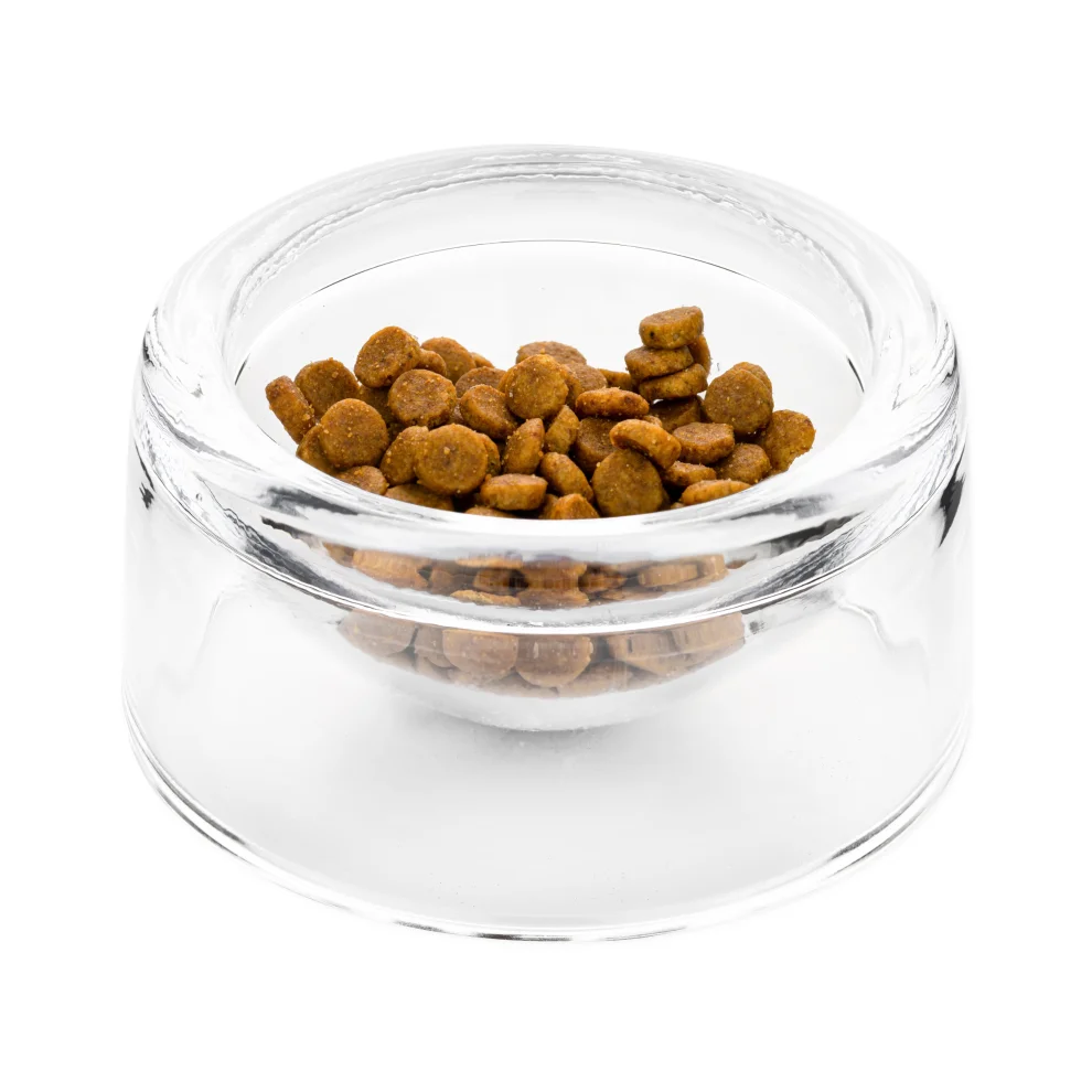 Alfi+Mag - The Bowl Cat/ Dog Food Container