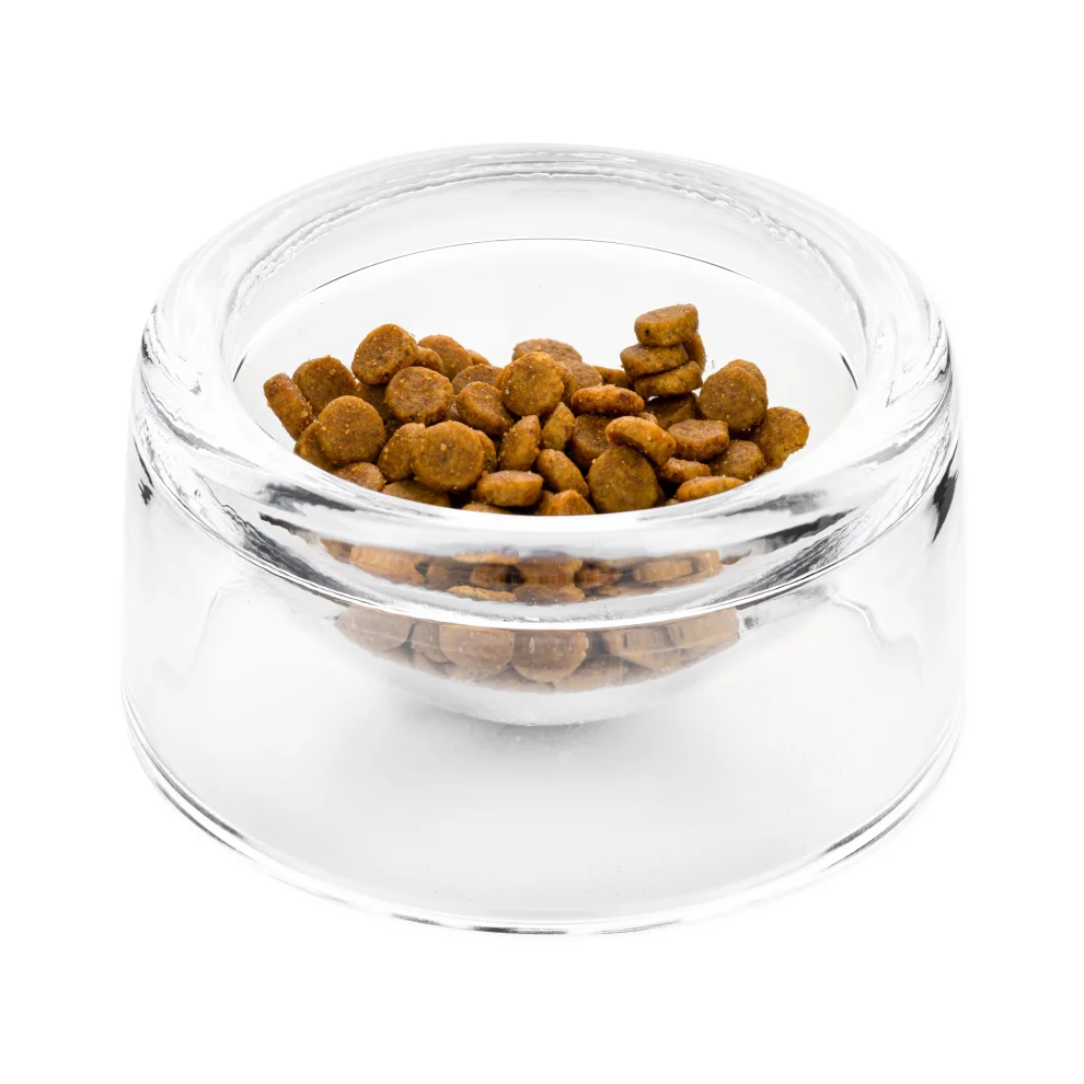 Glass dog 2024 food container