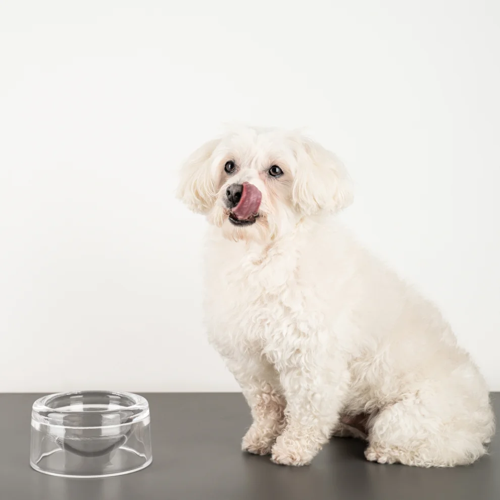 Alfi+Mag - The Bowl Cat/ Dog Food Container