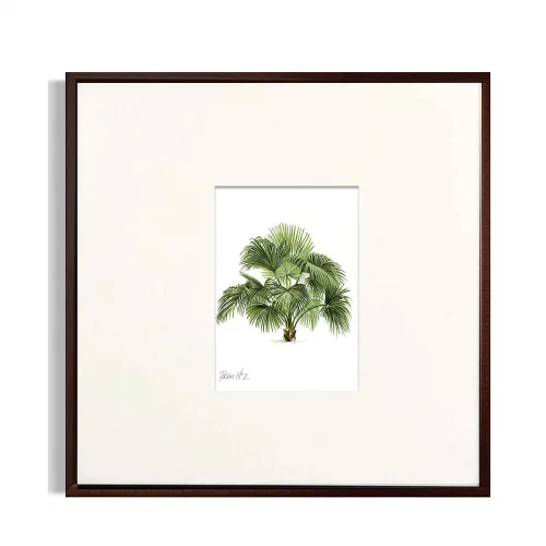 Nakalend - Palm No:2 Framed Art