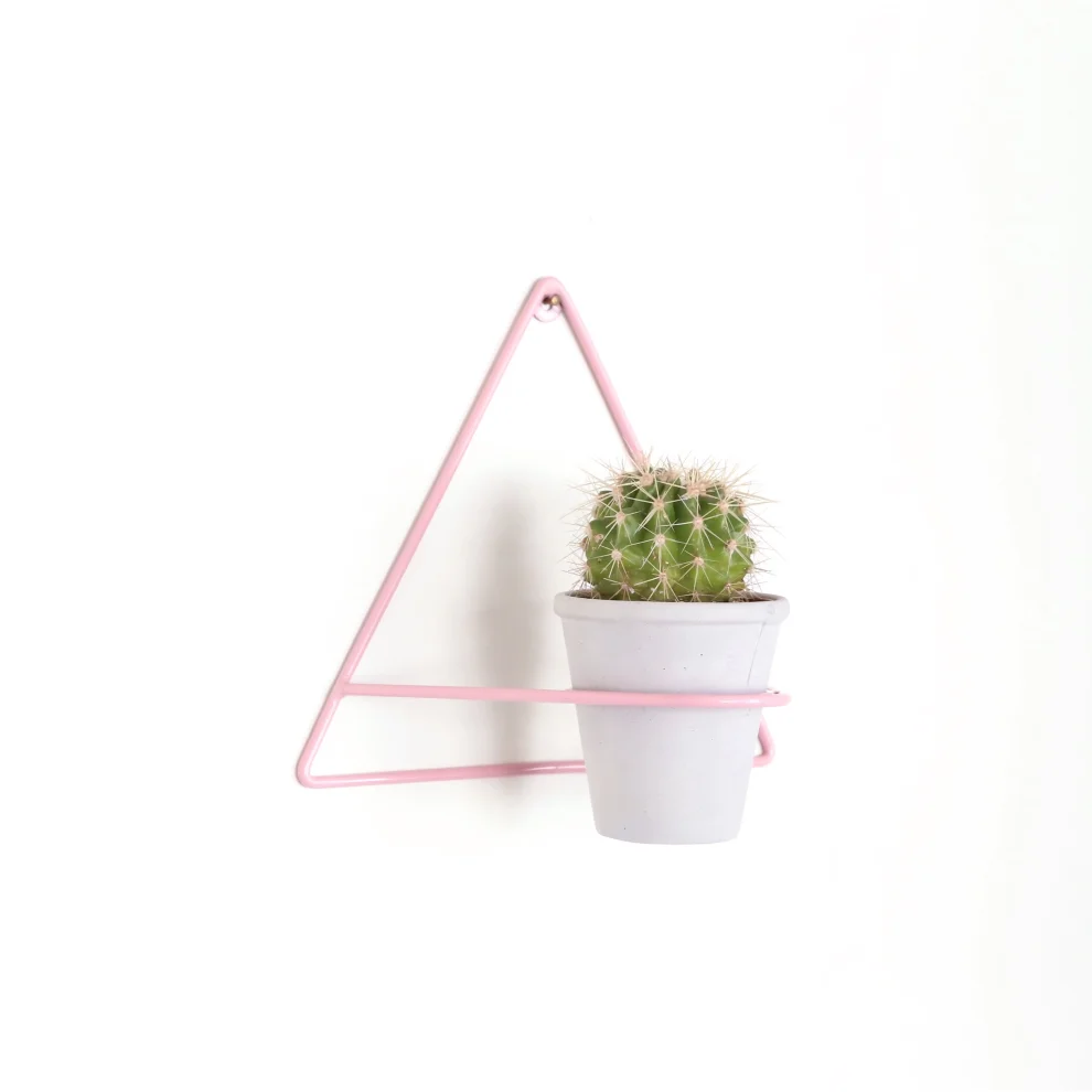 Miss May - Triangular Planter