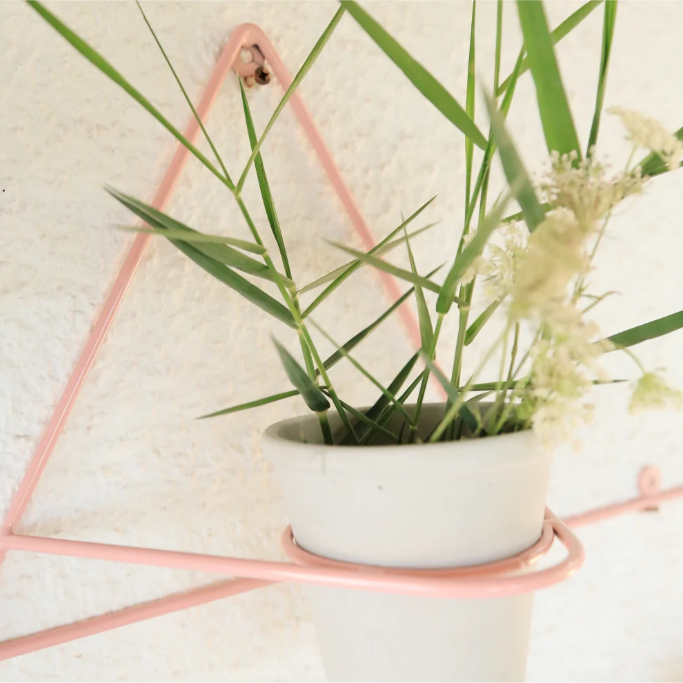 Miss May - Triangular Planter