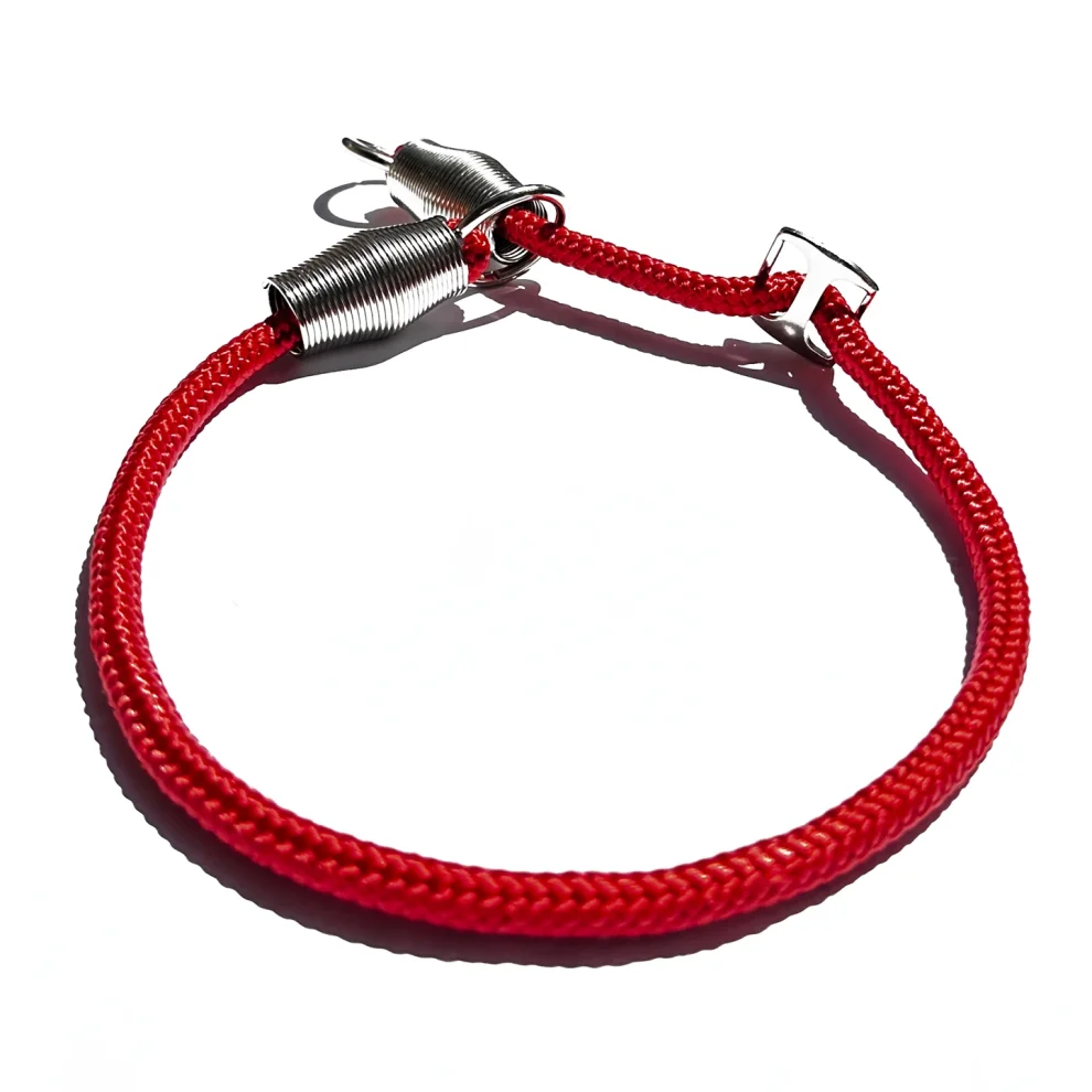 Choke best sale leash training