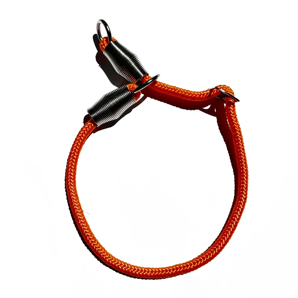 Petswuu Adjustable Choke Dog Training Training Obedience Neck Collar