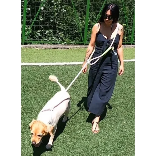Petswuu - Free Running And Walking Dog Collar - Iv