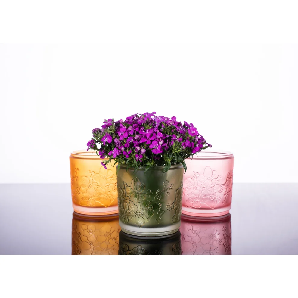 Sırça - Flora Sıngle Orchıd Vase